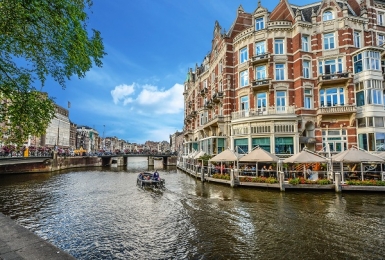 Early-Career Opportunities in the Netherlands: Market Insights and Hiring Trends