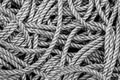 Untangle Your Career Ambitions Early, Like Now