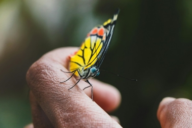 Go Small Or Go Home: A Research-based Approach to Changing Your Behavior for a Better Career and Life