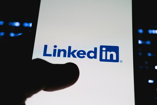 Picture of LinkedIn for Serious Professionals: Visibility, Credibility, and Opportunity