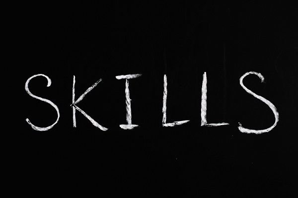 Picture of The Skills That Pay the Bills: Building a Future-Proof Skill Portfolio